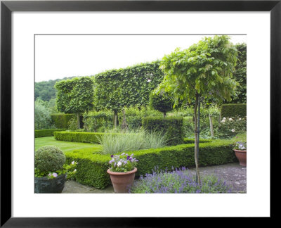 Paved Area Next To Clipped Hedges And Pleached Trees, Little Malvern Court Malvern Worcester by Mark Bolton Pricing Limited Edition Print image