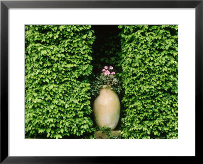 Clipped Hedge With Niche With Planted Terracotta Pot by Rex Butcher Pricing Limited Edition Print image