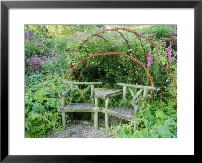 Willow Arbour Covered With Rosa Reine Des Violettes, Charles De Mills, Rosarie De Lhay by Carole Drake Pricing Limited Edition Print image
