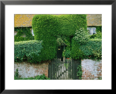 Hedge And Gate by Ann Kelley Pricing Limited Edition Print image