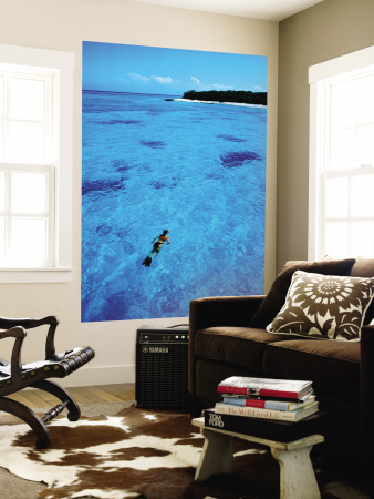 Snorkelling Around Musgrove Island On The Great Barrier Reef by Lee Foster Pricing Limited Edition Print image