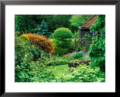 Large Informal Country Garden by Lynn Keddie Pricing Limited Edition Print image