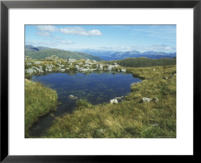 Fresh Water Loch Western Highlands, Scotland by David Boag Pricing Limited Edition Print image