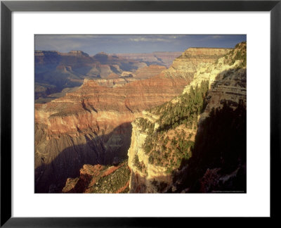 Colorado River, South Rim, Usa by Olaf Broders Pricing Limited Edition Print image