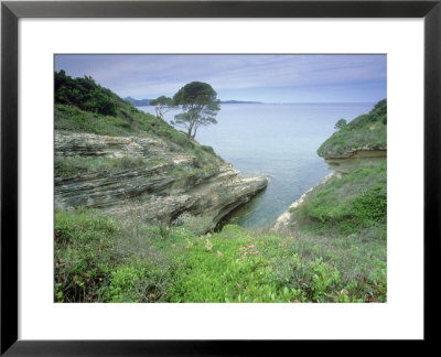Corsican Bay, La Corse, France by Olaf Broders Pricing Limited Edition Print image