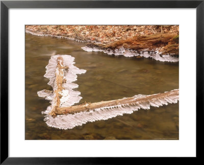 Ice-Covered Logs In A Stream, Illinois, Usa by Willard Clay Pricing Limited Edition Print image