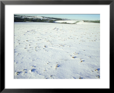 Wheat Field In Winter by Mike England Pricing Limited Edition Print image