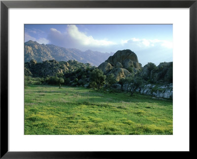 Latmos Mountains, Spring, Western Turkey by Berndt Fischer Pricing Limited Edition Print image