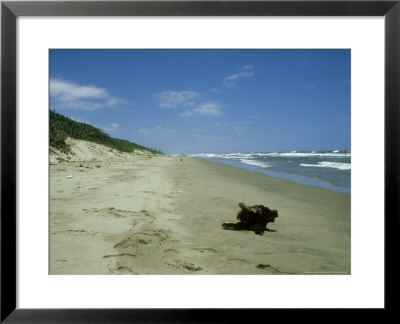 Moskito Coast, Moskitia, Honduras by Paul Franklin Pricing Limited Edition Print image