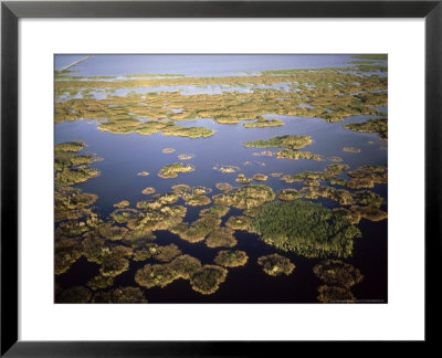Tampico Wetlands, Gulf Of Mexico by Patricio Robles Gil Pricing Limited Edition Print image