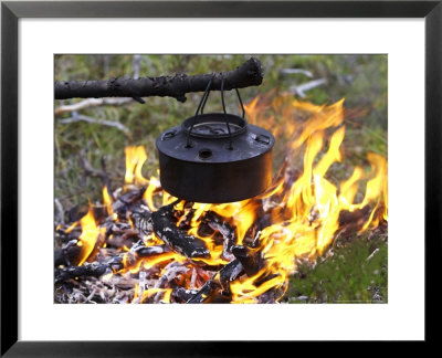 Heating Kettle Over Open Fire In Forest, Norway by Mark Hamblin Pricing Limited Edition Print image