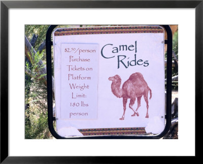 Camel Ride Tours Sign, Usa by Philippe Henry Pricing Limited Edition Print image