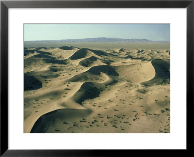 Sparse Vegetation In Sand Desert, Iran by Oxford Scientific Pricing Limited Edition Print image