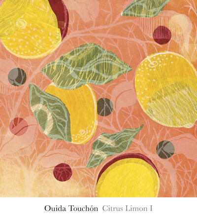 Citrus Limon I by Ouida Touchon Pricing Limited Edition Print image