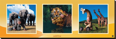 Imaginary Safari by Tom Arma Pricing Limited Edition Print image
