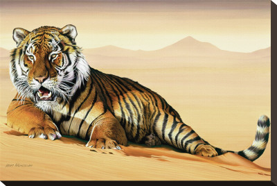 Tiger In Sand by Ken Messom Pricing Limited Edition Print image