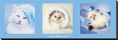 Simply Blue-Tiful by Rachael Hale Pricing Limited Edition Print image