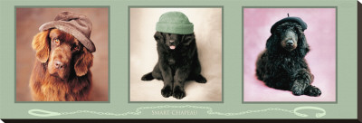 Smart Chapeau by Rachael Hale Pricing Limited Edition Print image