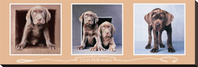 2 Cute Fur Words by Rachael Hale Pricing Limited Edition Print image