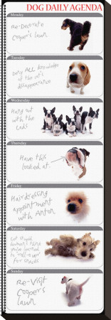 Dog Agenda by Yoneo Morita Pricing Limited Edition Print image