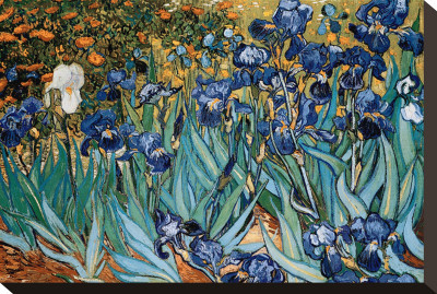 Irises, Saint-Remy, C.1889 by Vincent Van Gogh Pricing Limited Edition Print image