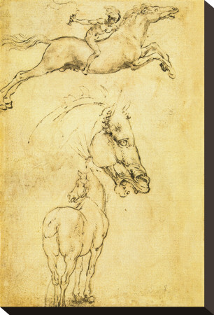 Sketch Of A Horse by Leonardo Da Vinci Pricing Limited Edition Print image