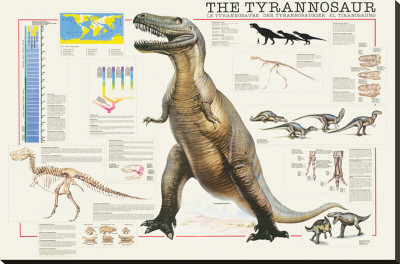 Tyrannosaurus by Libero Patrignani Pricing Limited Edition Print image
