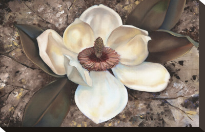 Magnolia I by Louise Montillio Pricing Limited Edition Print image