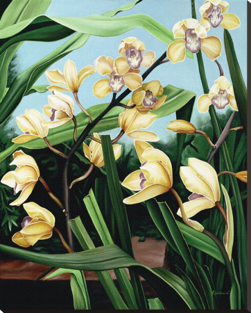 Yellow Orchids by Pamela Jablonski Pricing Limited Edition Print image