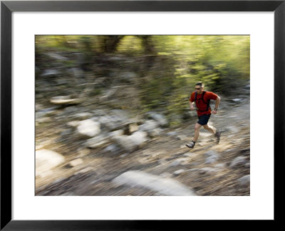 Man Trail Running On The Temple Quarry Trail In Little Cottonwood Canyon, Utah, Usa by Mike Tittel Pricing Limited Edition Print image