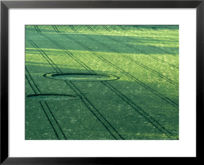 Circles In Corn Field Near Winchester, Uk by Ian West Pricing Limited Edition Print image