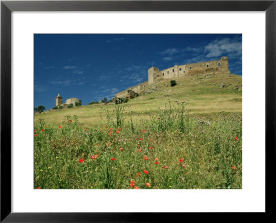 View Of Castle, Medallin, Extremadura, Spain by Michael Busselle Pricing Limited Edition Print image
