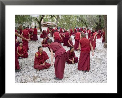 Monks Learning Session, With Masters And Students, Sera Monastery, Tibet, China by Ethel Davies Pricing Limited Edition Print image