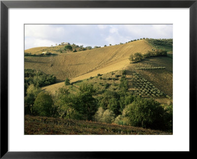 Landscape Near Chieti, Abruzzo, Italy by Michael Newton Pricing Limited Edition Print image