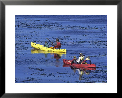 Family Exploring The Monterey Bay, California, Usa by Georgienne Bradley Pricing Limited Edition Print image