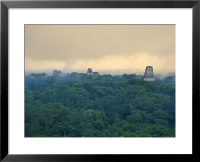 Tikal Pyramid Ruins And Rainforest, Dawn, Guatemala by Michele Falzone Pricing Limited Edition Print image
