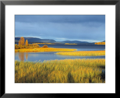 Lake In Laponia World Heritage Site, Lappland, Sweden by Gavin Hellier Pricing Limited Edition Print image