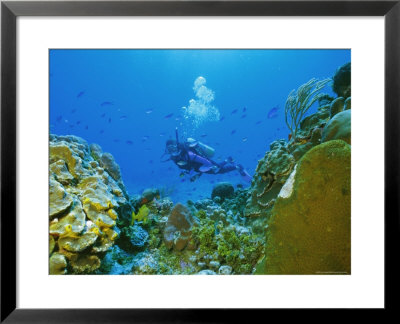 Underwater Diver And Corals, Cozumel Island, Mexico by Gavin Hellier Pricing Limited Edition Print image
