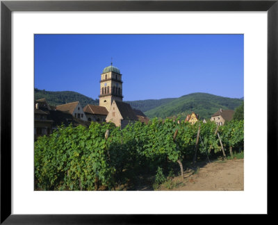 Vines In Vineyards And Tower Of The Church Of Ste. Croix, Kaysersberg, Haut-Rhin, Alsace, France by Ruth Tomlinson Pricing Limited Edition Print image
