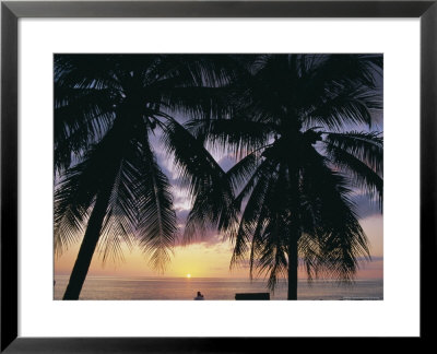 Tropical Sunset Framed By Palm Trees, Cayman Islands, West Indies, Central America by Ruth Tomlinson Pricing Limited Edition Print image
