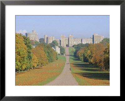 The Long Walk And Windsor Castle, Windsor, Berkshire, England, Uk by Roy Rainford Pricing Limited Edition Print image