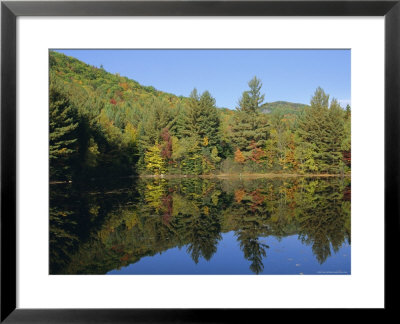 Lake Reflections Near Jackson, New Hampshire, New England, Usa by Fraser Hall Pricing Limited Edition Print image