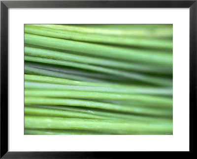 Chives by Ulrike Holsten Pricing Limited Edition Print image