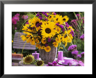 Arrangement Of Sunflowers With Michaelmas Daisies by Friedrich Strauss Pricing Limited Edition Print image