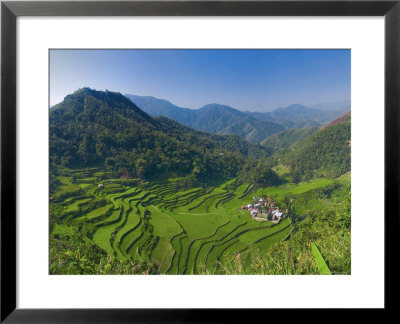 Rice Terraces Of Bangaan At Banaue, Luzon Island, Philippines by Michele Falzone Pricing Limited Edition Print image