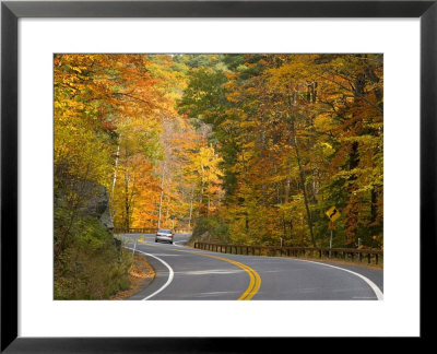 Road Nr. Lake George, New York State, Usa by Demetrio Carrasco Pricing Limited Edition Print image