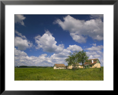 Naja, Great Plain, Hungary by Walter Bibikow Pricing Limited Edition Print image