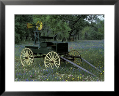 Old Wagon And Wildflowers, Devine, Texas, Usa by Darrell Gulin Pricing Limited Edition Print image