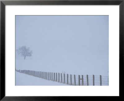 Fauquier County, Virginia, Usa by Kenneth Garrett Pricing Limited Edition Print image