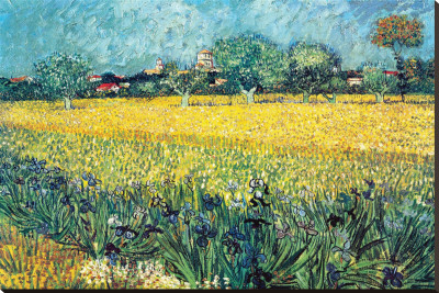 View Of Arles With Irises by Vincent Van Gogh Pricing Limited Edition Print image